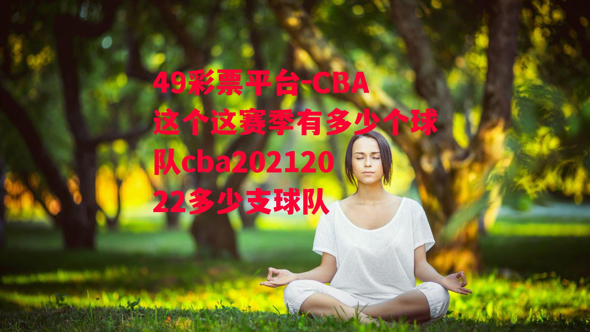 CBA这个这赛季有多少个球队cba20212022多少支球队